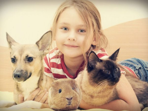 elysium - Tierverhalten verstehen - Was tue ich, wenn das Haustier meines Kindes stirbt?